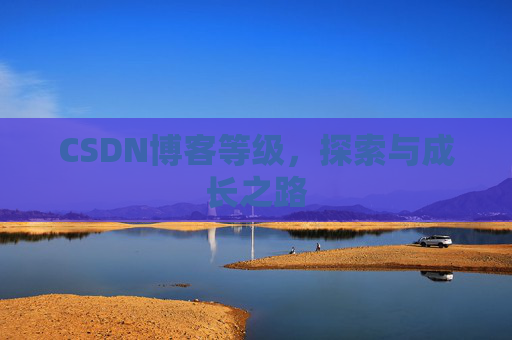 CSDN博客等级，探索与成长之路